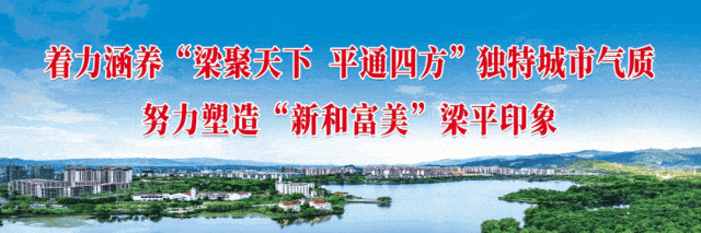 verti, 梁平字门拳, FAZFD